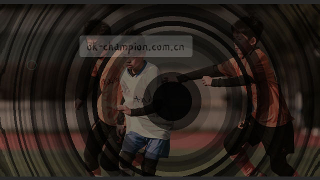 电话：010-1234-5678，邮箱：contact@example.com